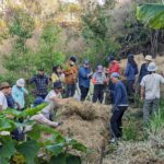 Thực hành làm phân ủ